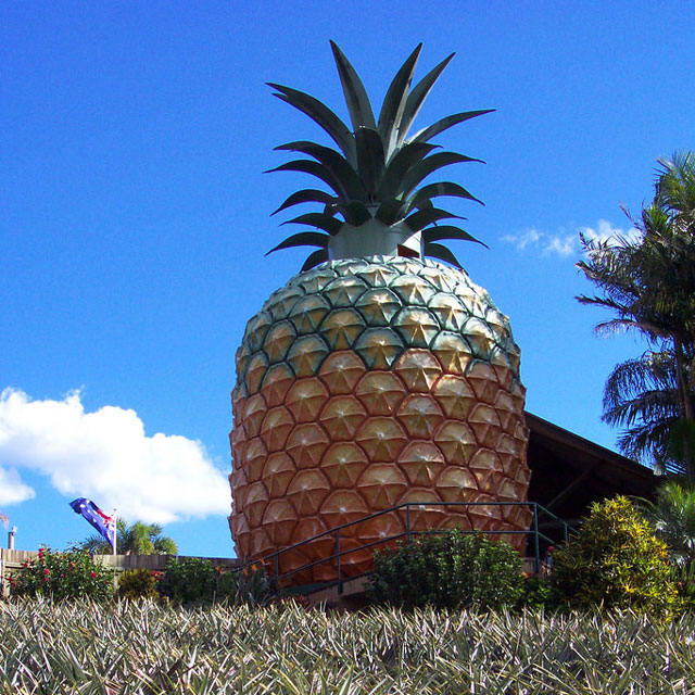 Big-pineapple.jpg